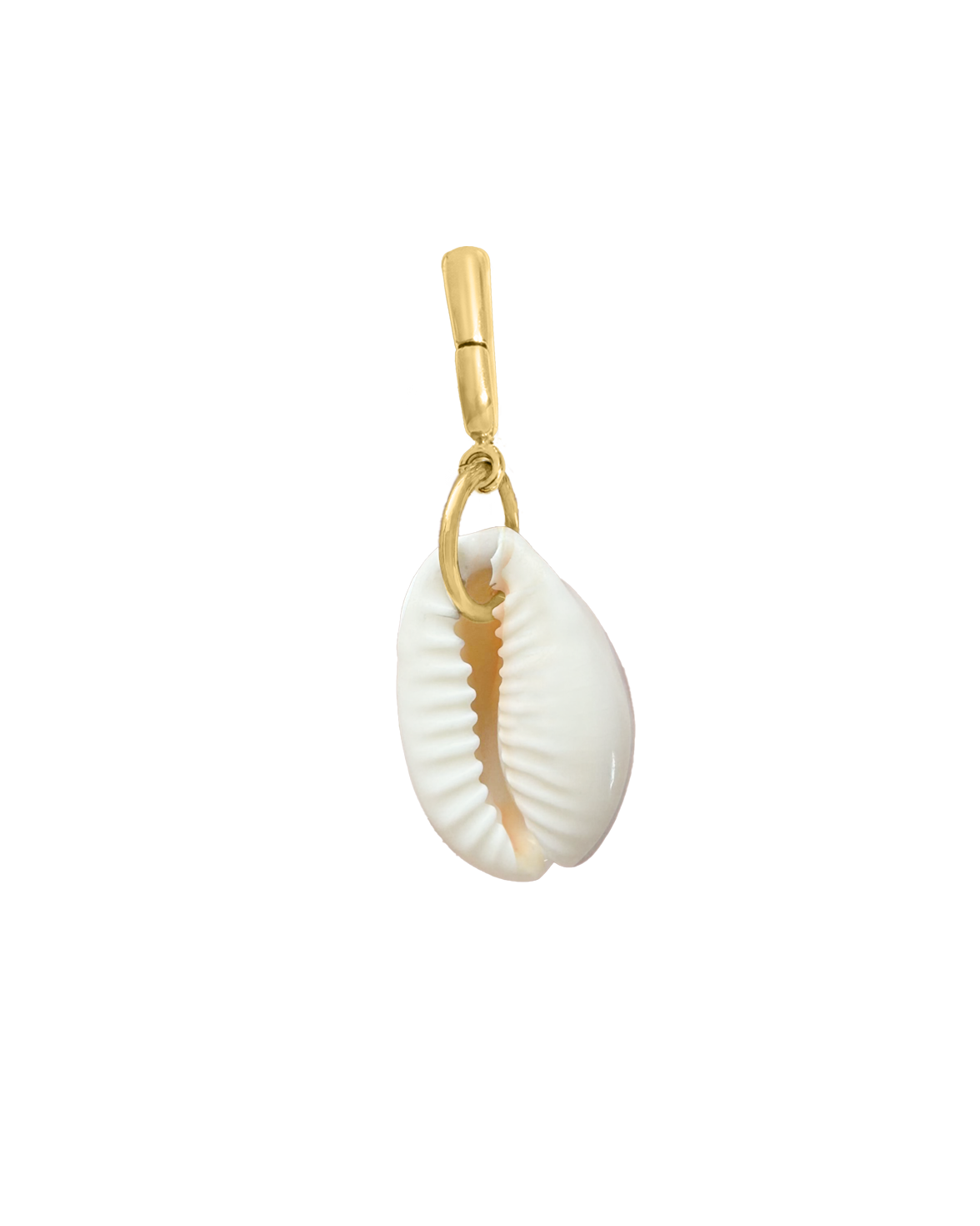 Cowrie Shell Charm