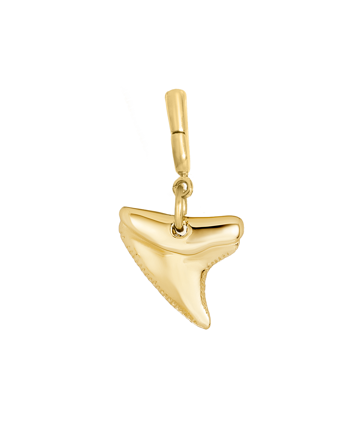 Jaws Charm
