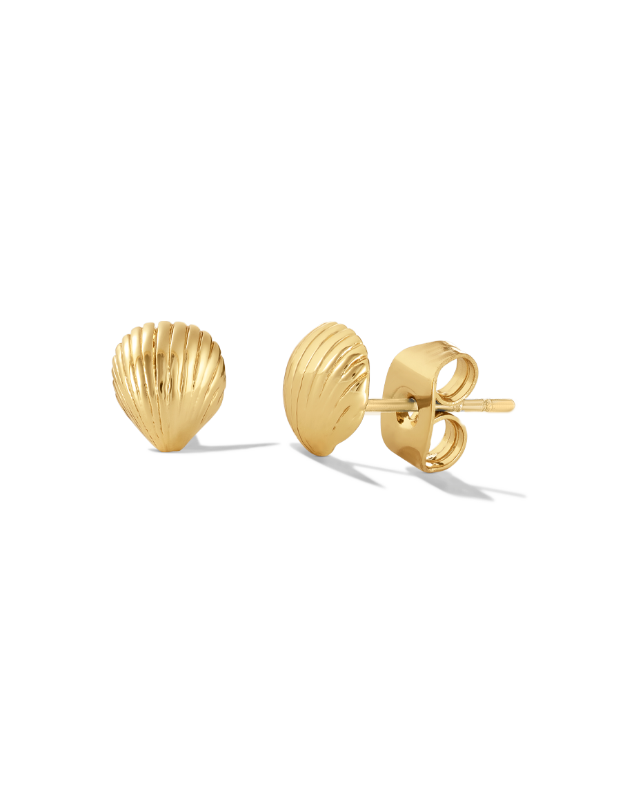 Shell Studs