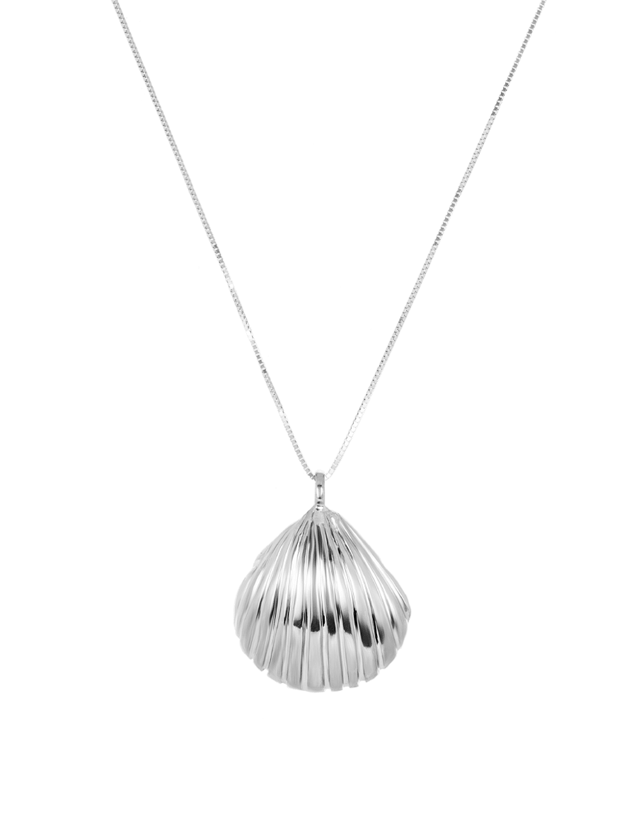 Venus Seashell Necklace