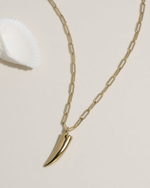 Long Talon Necklace – James Michelle