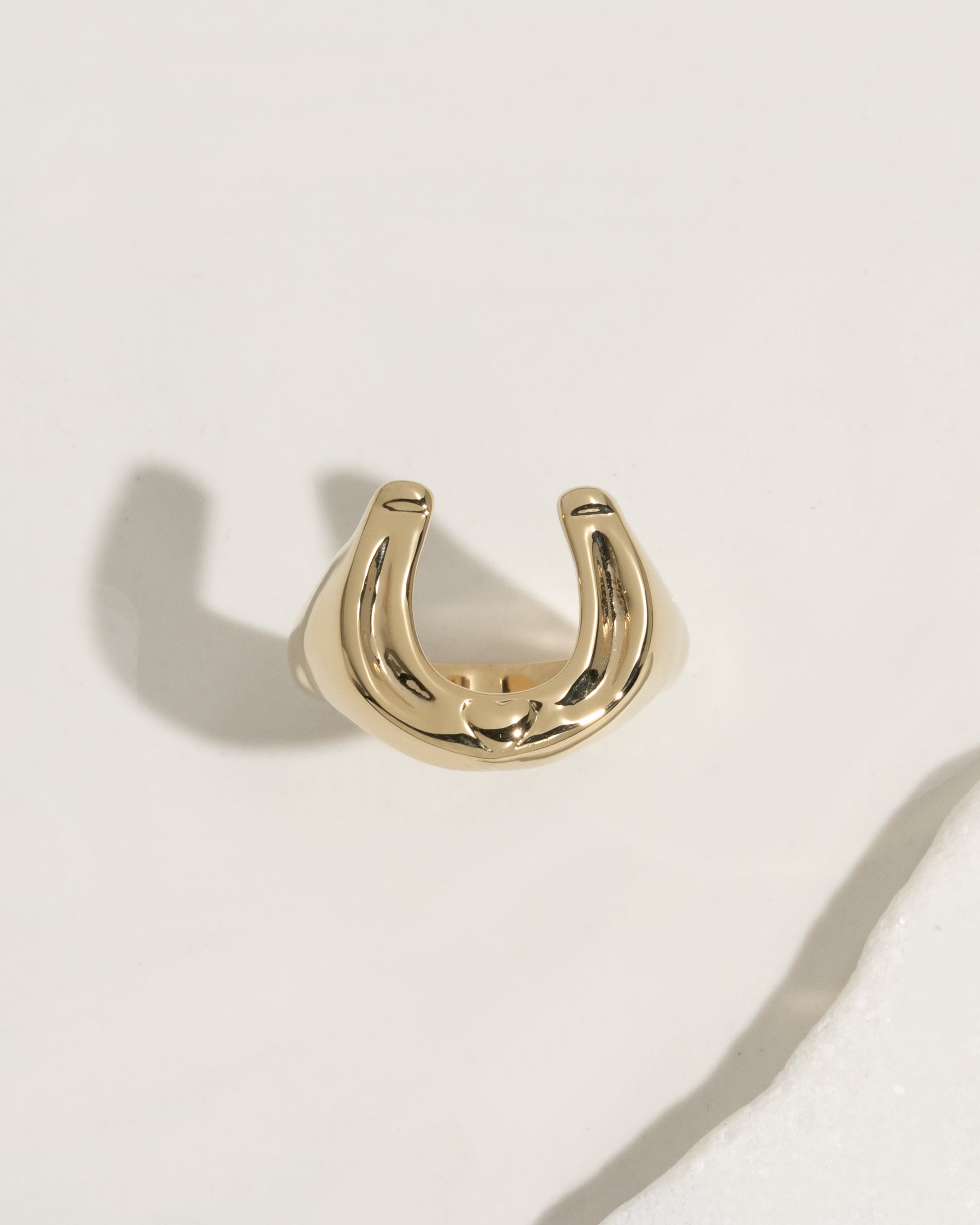 Lucky Horseshoe Waterproof Ring - Gold & Silver – James Michelle