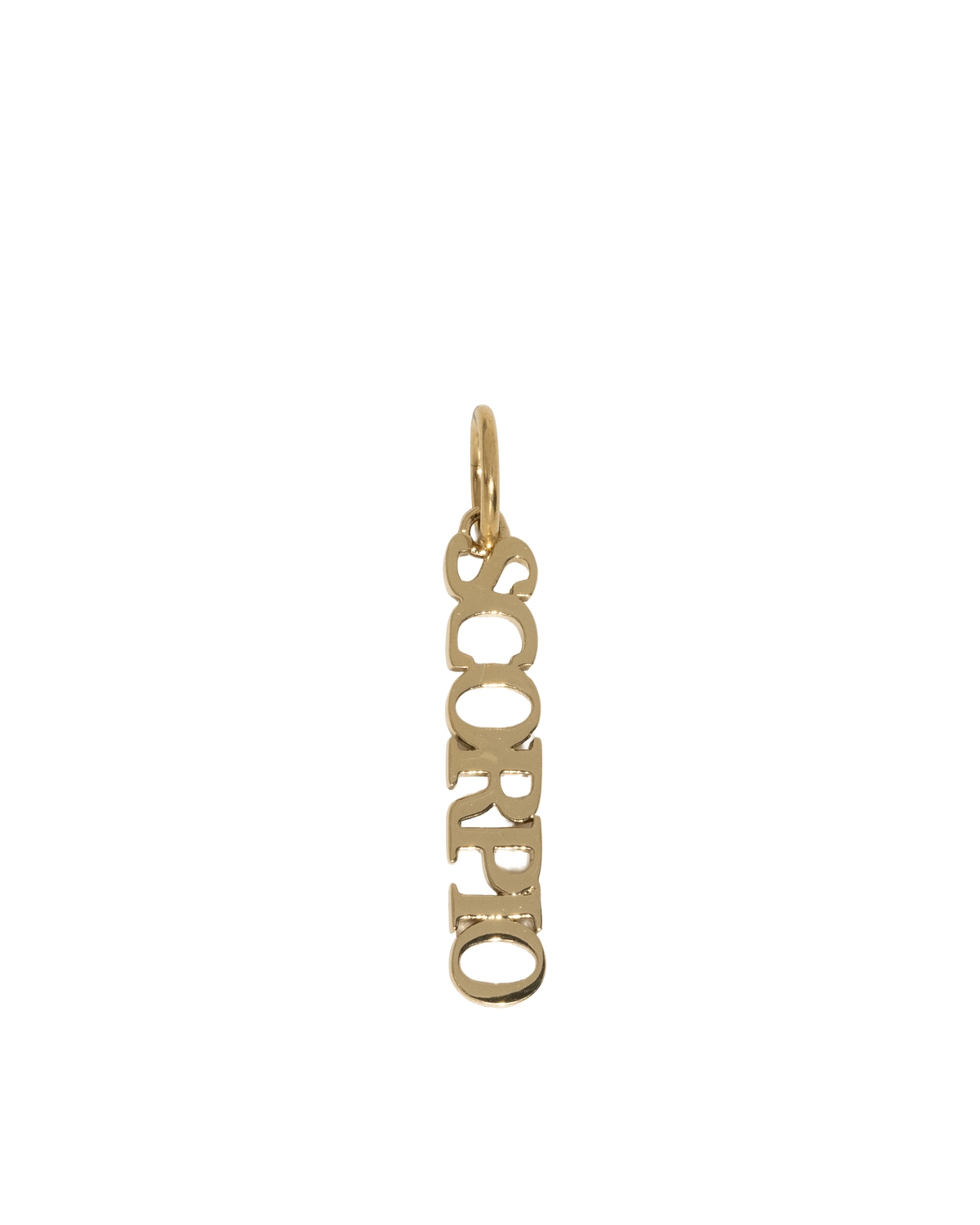 Zodiac Nameplate Charm