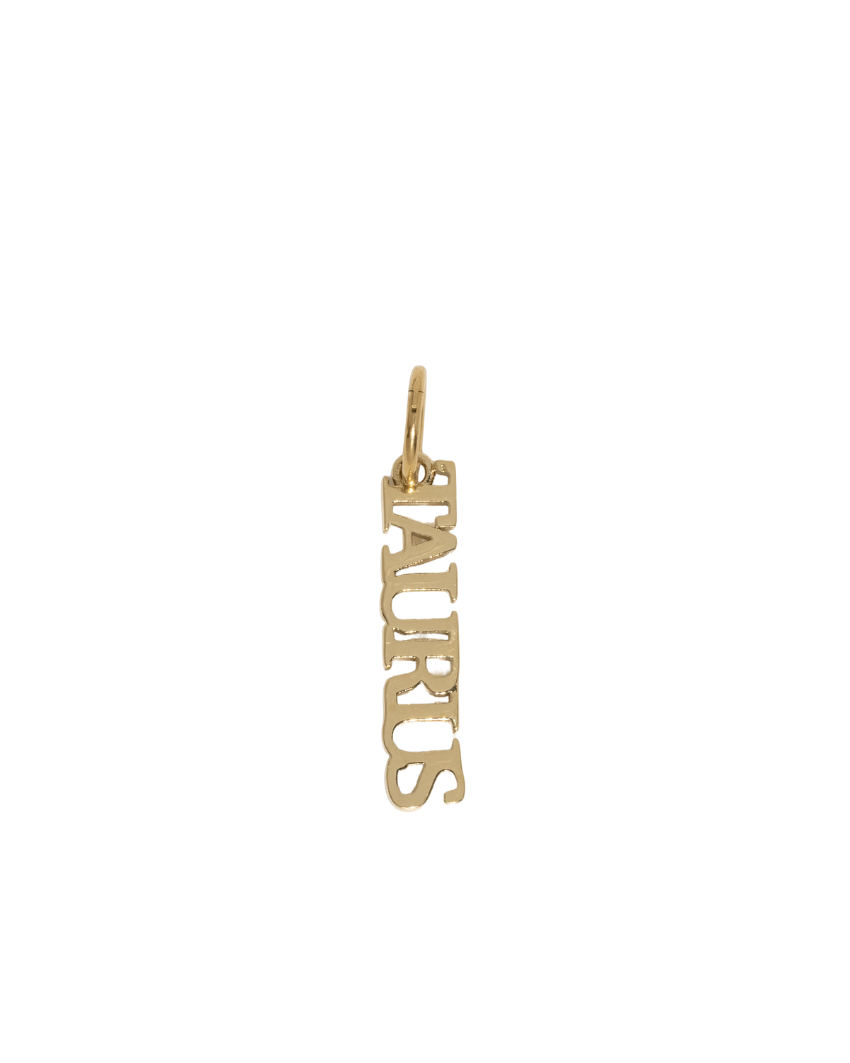Zodiac Nameplate Charm