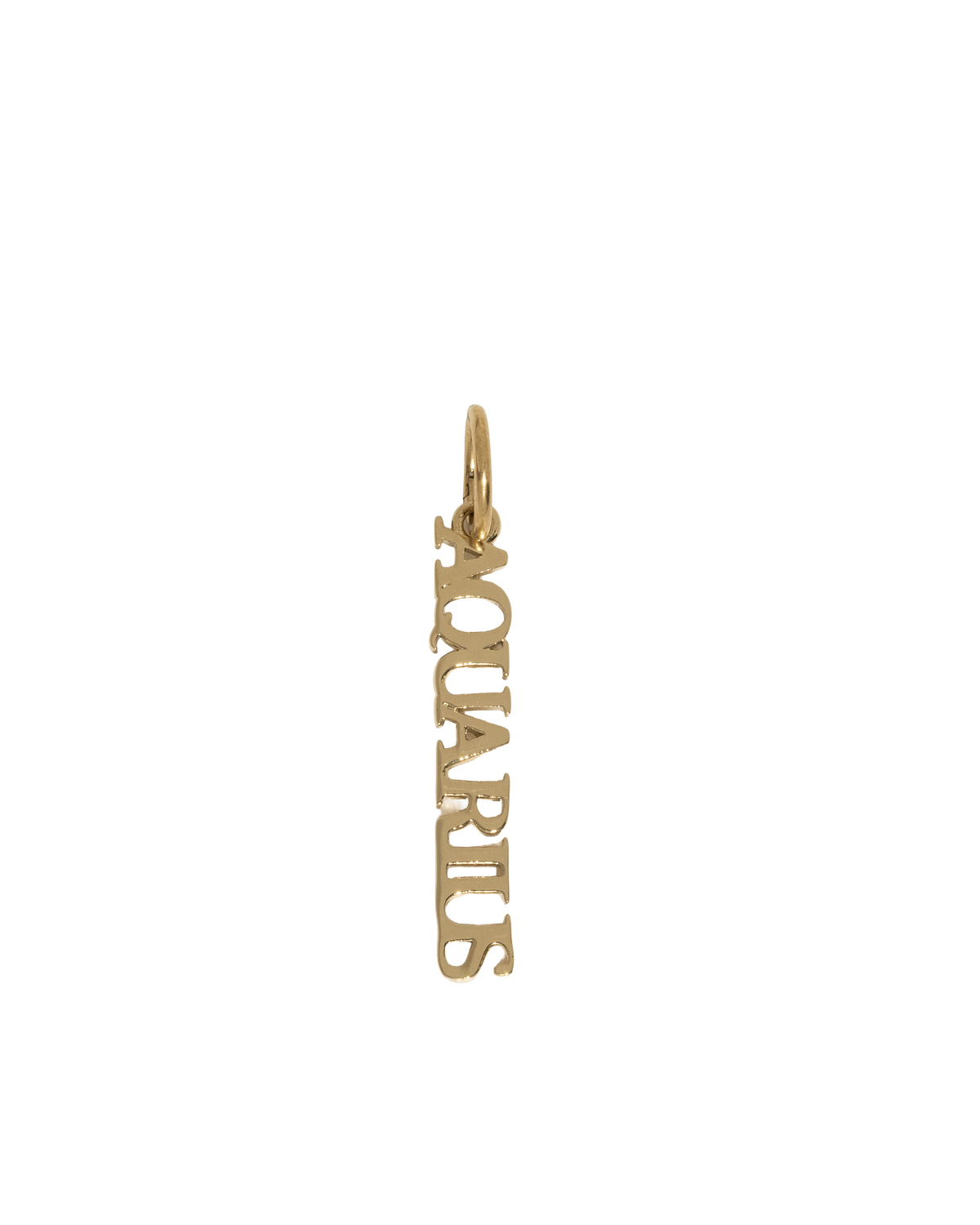 Zodiac Nameplate Charm