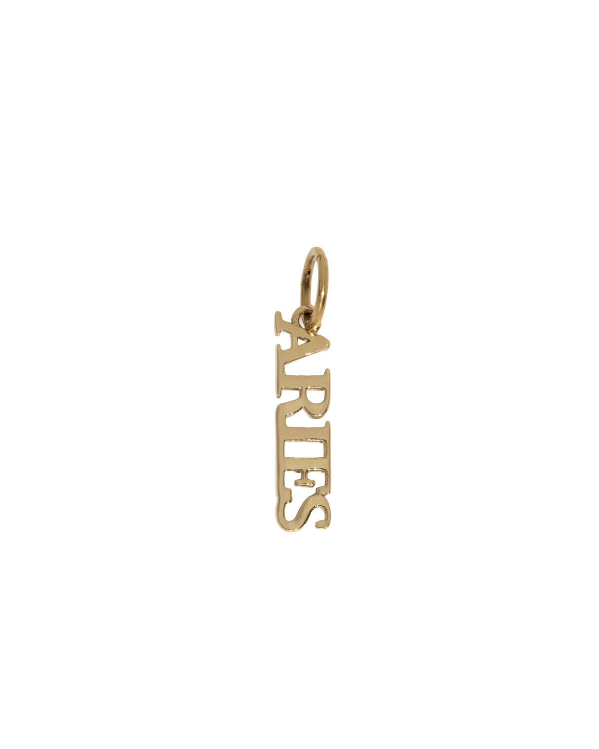 Zodiac Nameplate Charm