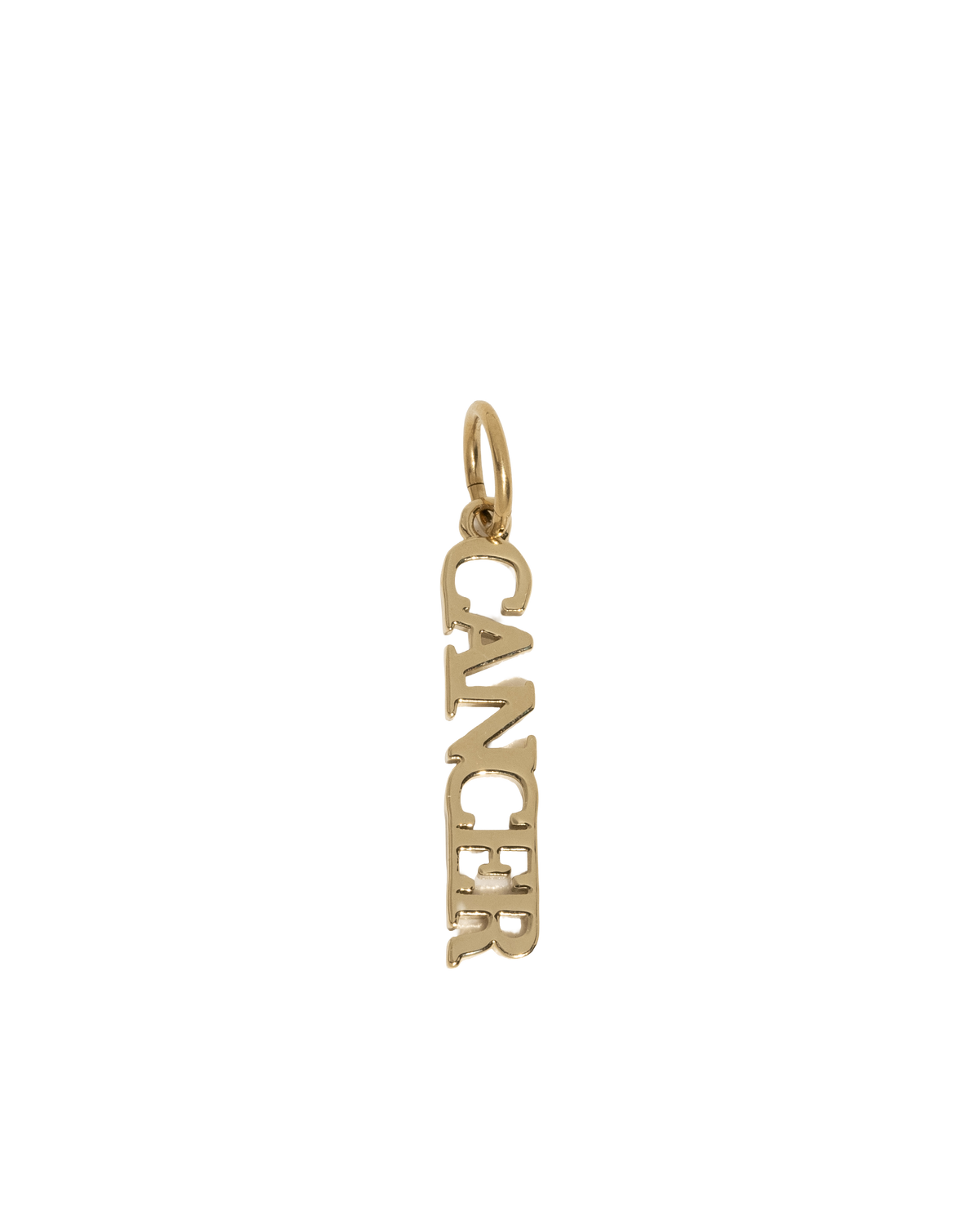 Zodiac Nameplate Charm