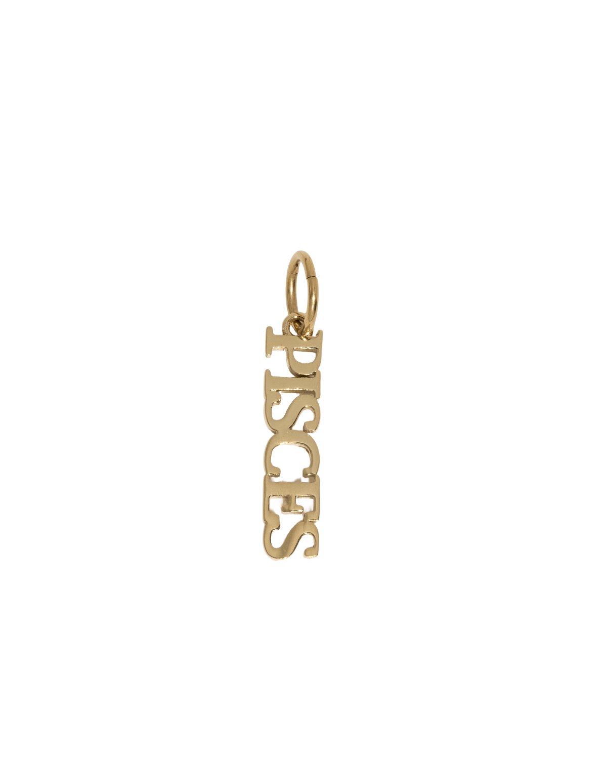 Zodiac Nameplate Charm