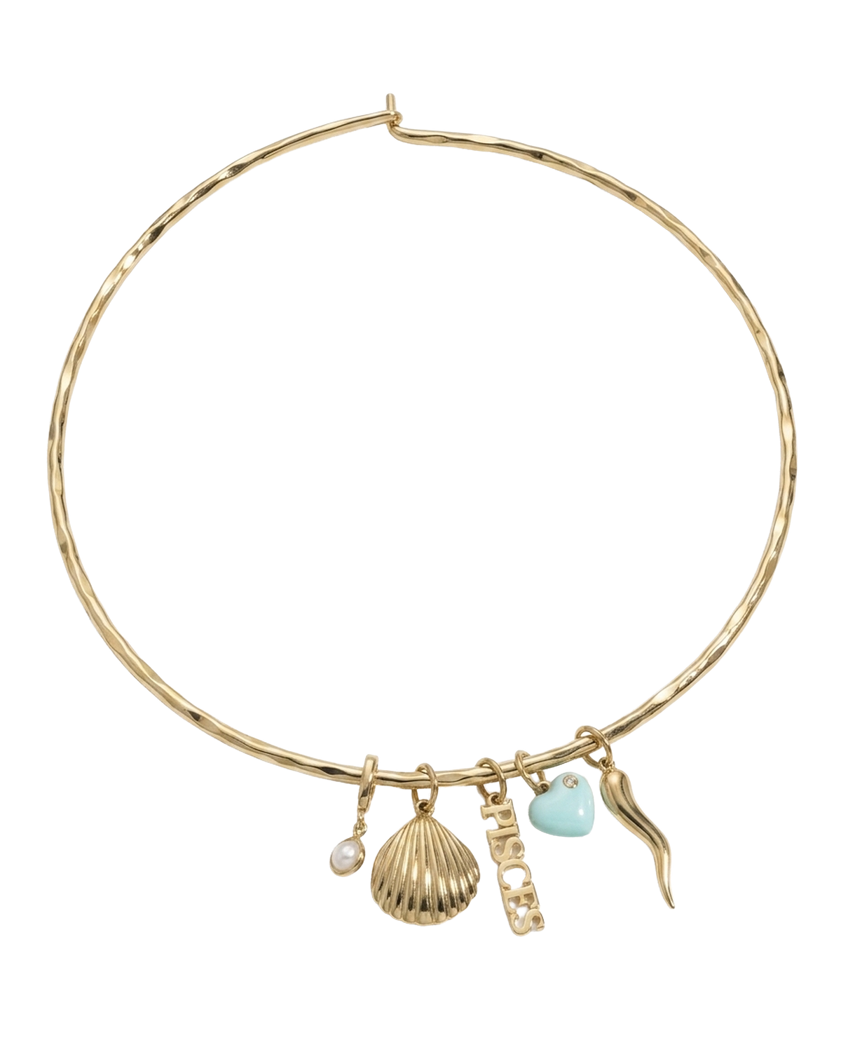 Zodiac Charm Collar Necklace