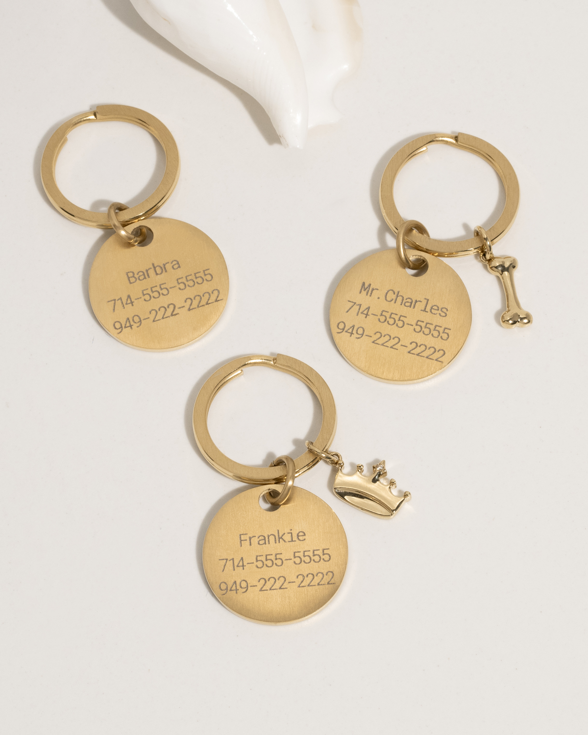 Pet Tag