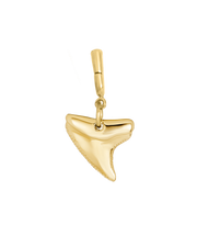 Jaws Charm