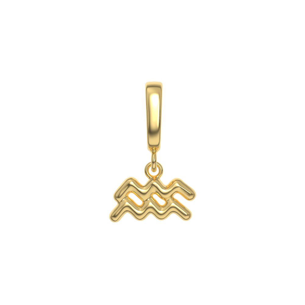 Zodiac Charms