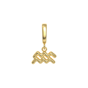 Zodiac Charms