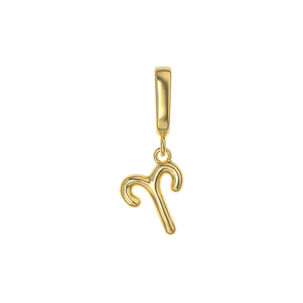 Zodiac Charms