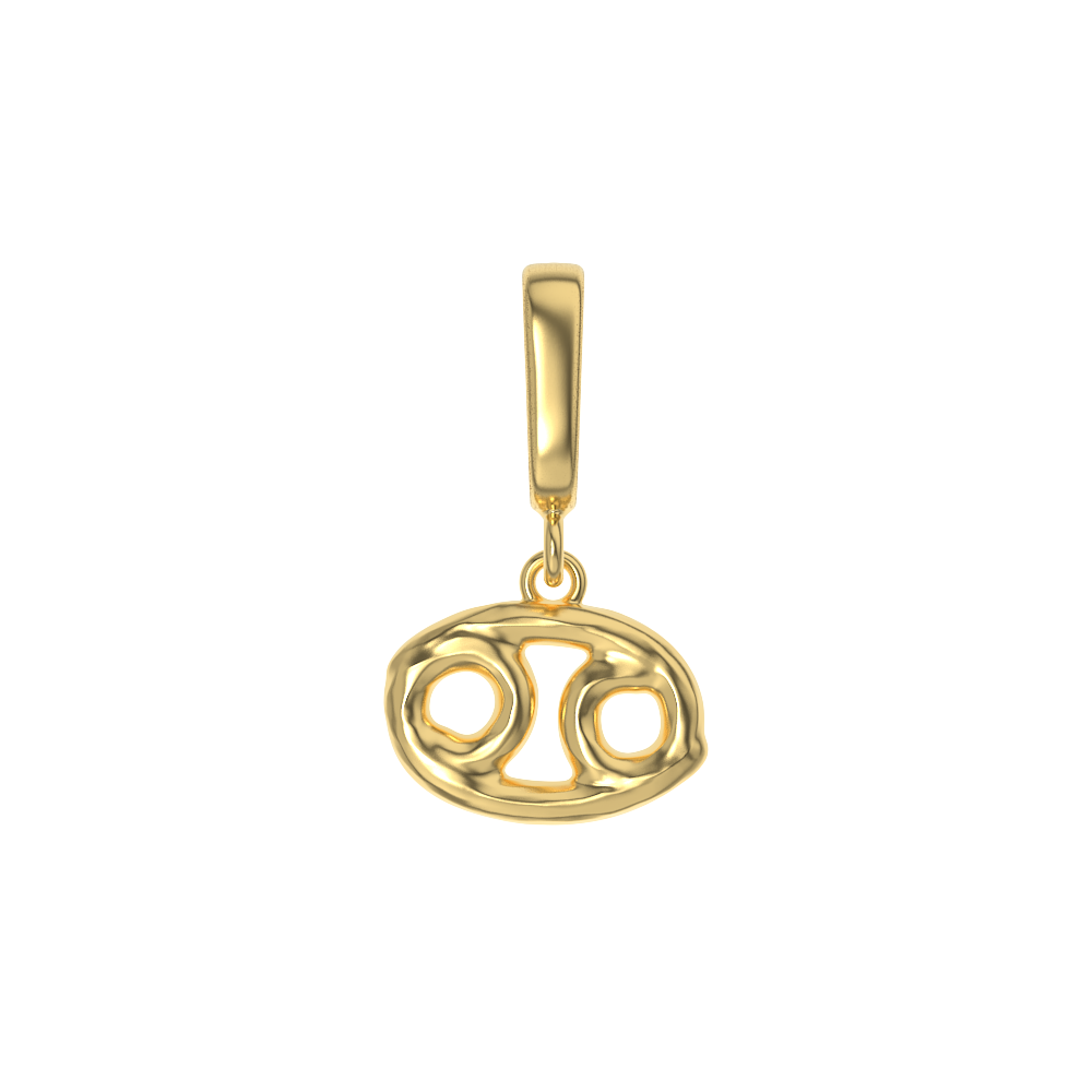 Zodiac Charms