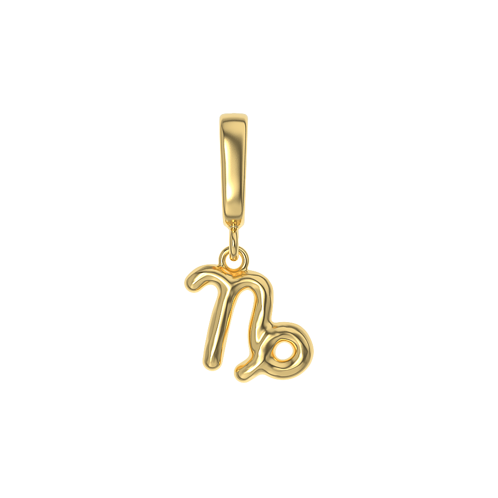 Zodiac Charms
