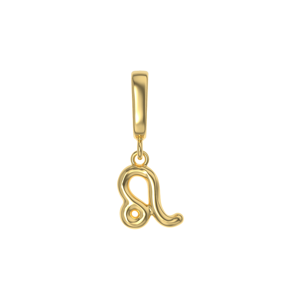 Zodiac Charms