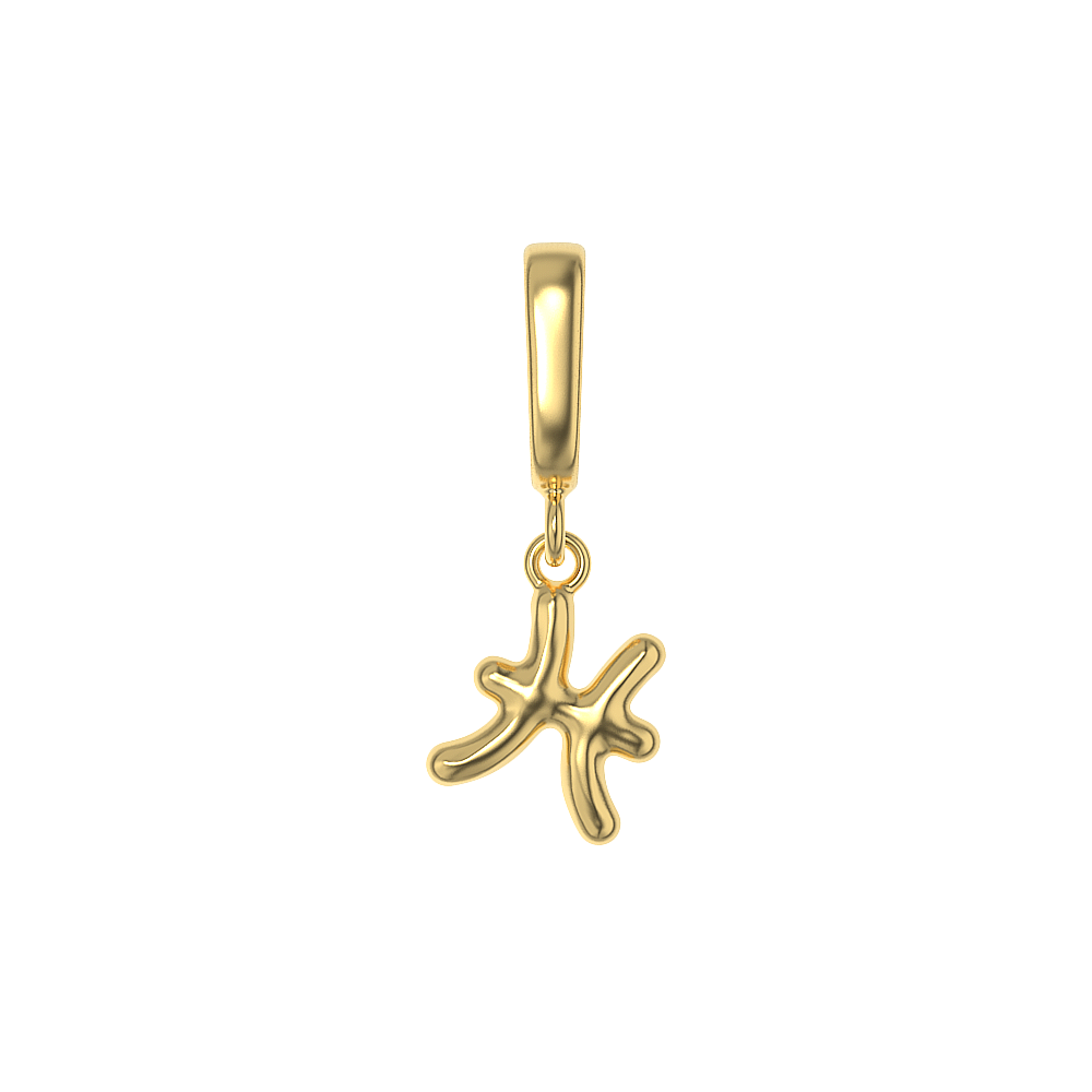 Zodiac Charms