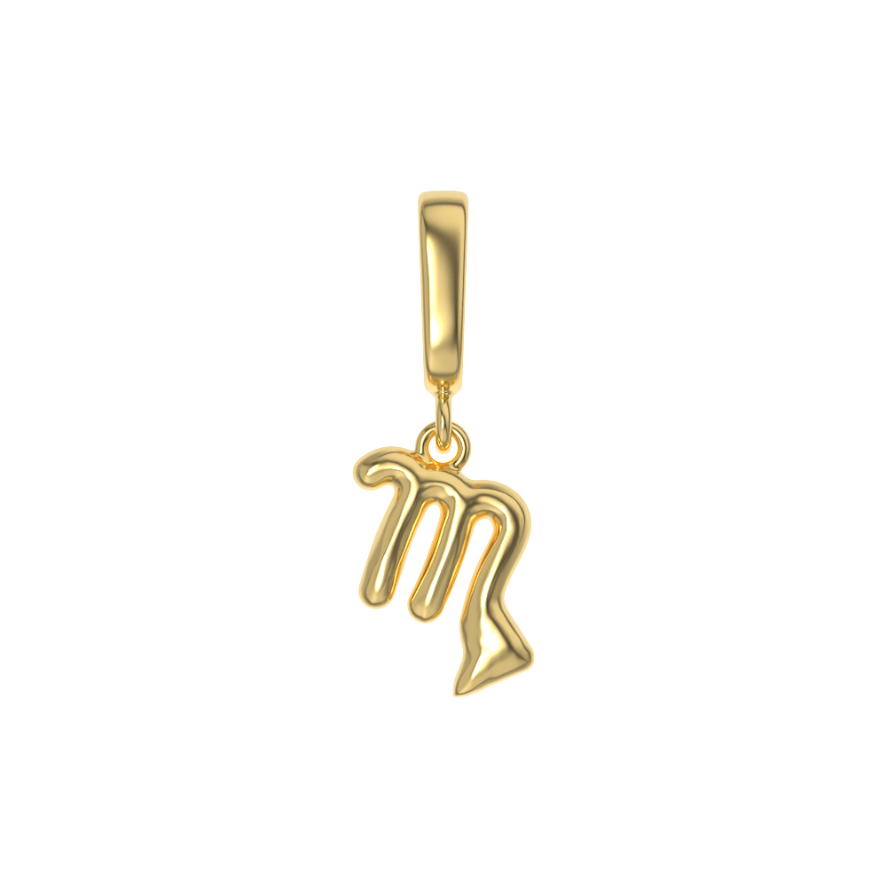 Zodiac Charms