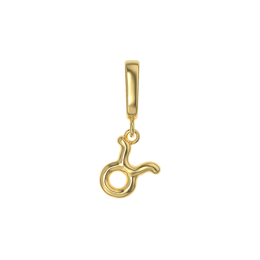 Zodiac Charms