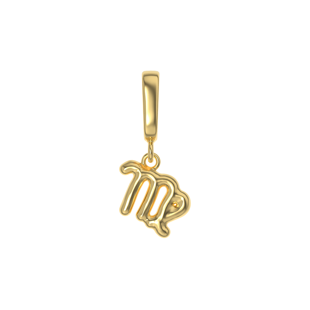 Zodiac Charms
