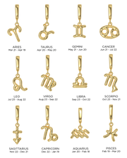 Zodiac Charms