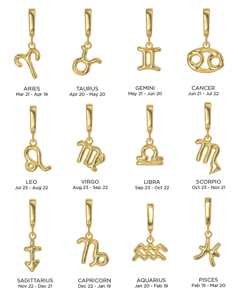 Zodiac Charms