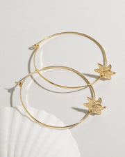 Lily Hoops