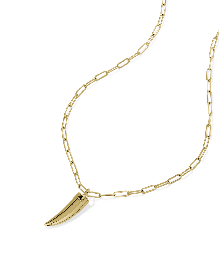 Long Talon Necklace