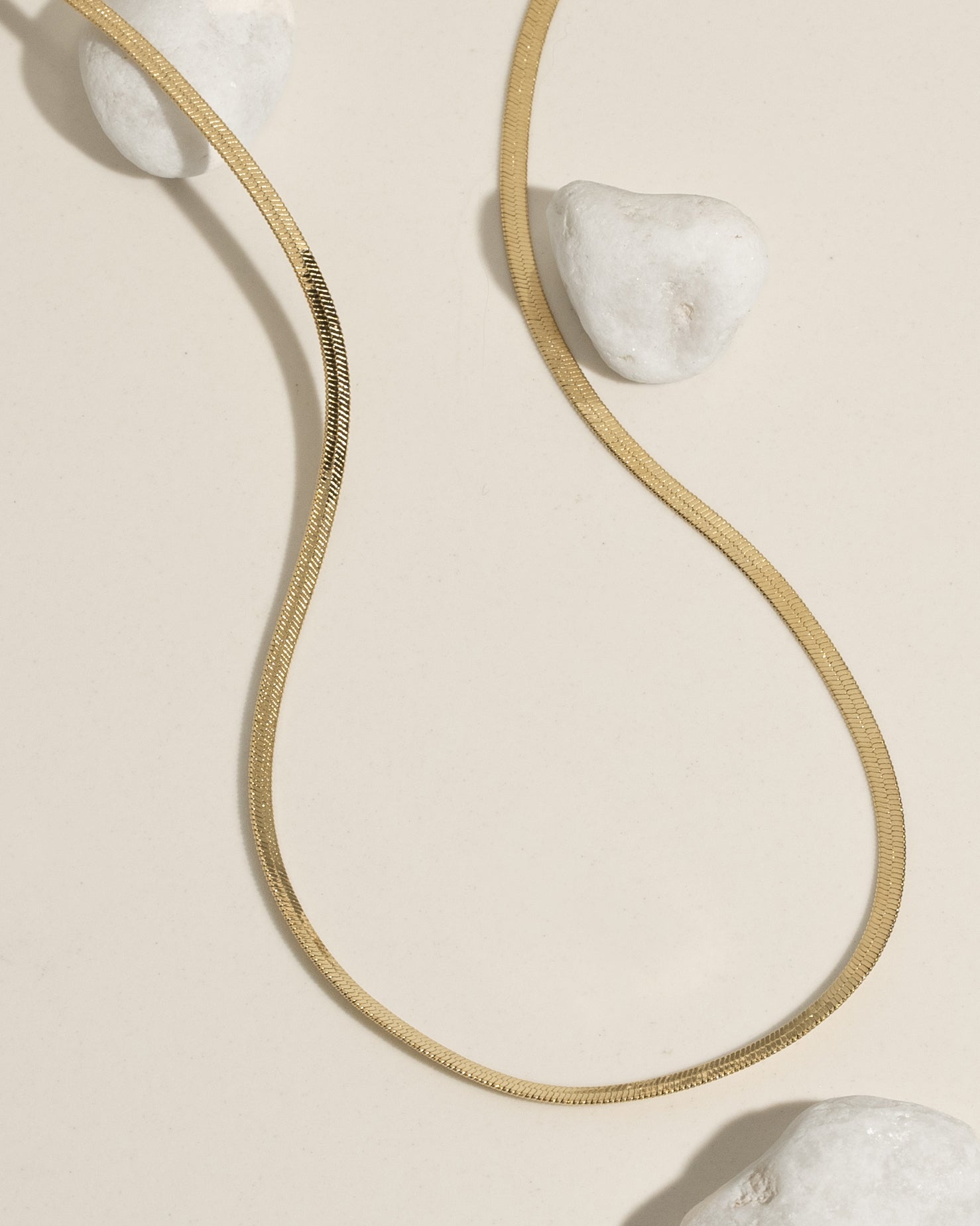 Skinny Snake Chain – James Michelle
