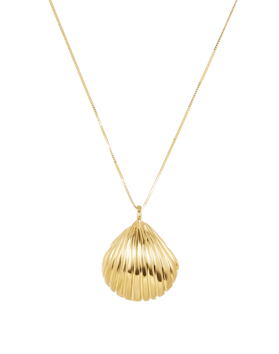 Beautiful Natural Scallop Shell Necklace – Jewelry and The Sea