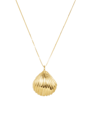 Venus Seashell Necklace