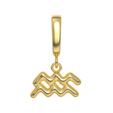 Zodiac Charms