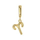Zodiac Charms