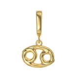 Zodiac Charms