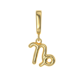 Zodiac Charms