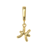 Zodiac Charms
