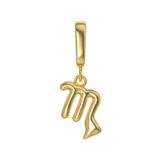 Zodiac Charms