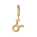 Zodiac Charms