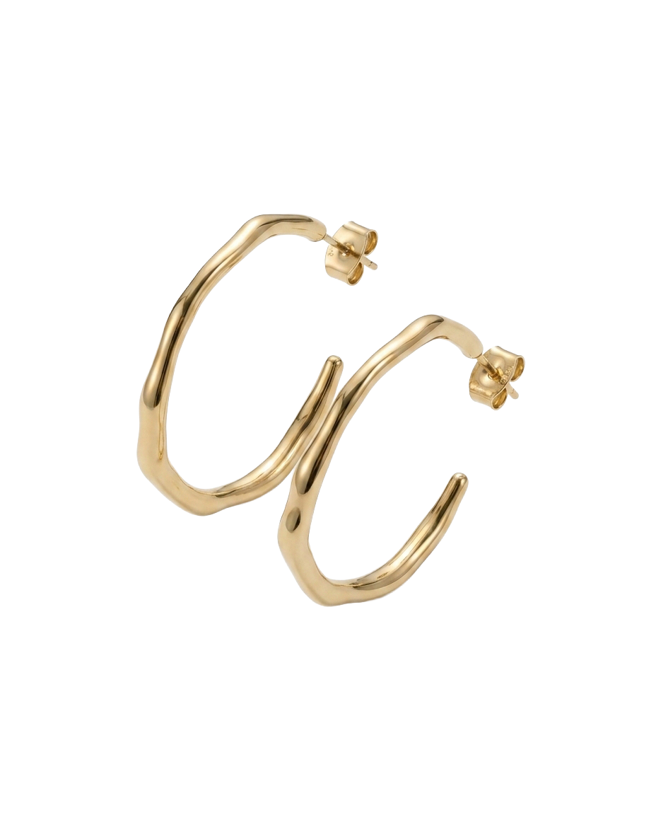 james-michelle-palermo-hoops-gold-transparent
